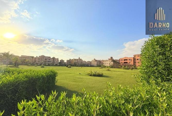 8533338 - Property Image 3