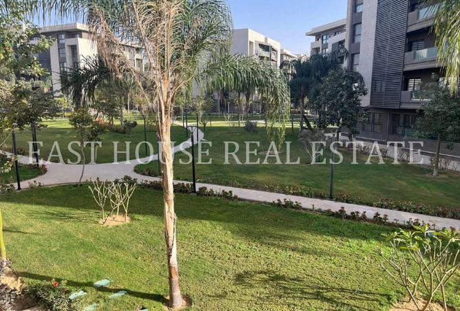 53469682 - الصورة الرئيسية للعقار