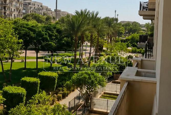 101198404 - صورة العقار 3