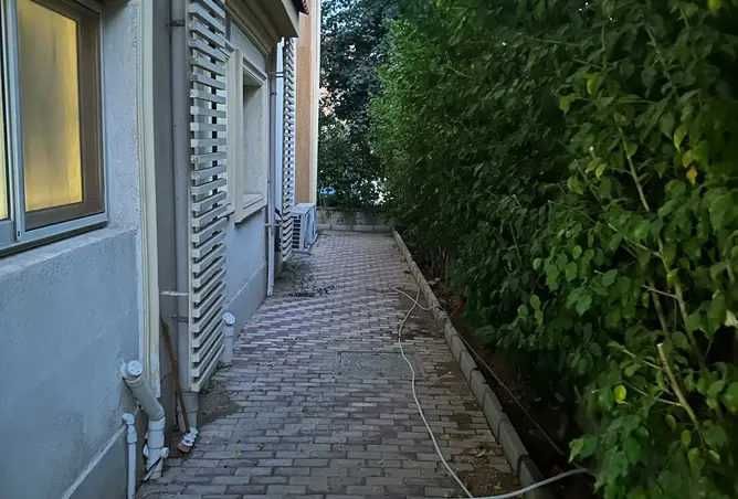115719313 - Property Image 3