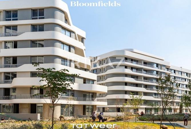 61196158 - Property Image 3