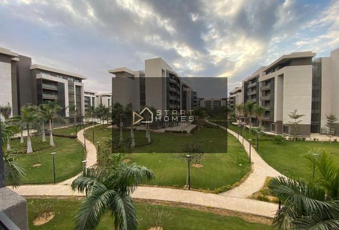 66683504 - صورة العقار 3