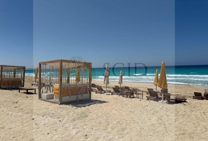 74598667 - صورة العقار 3