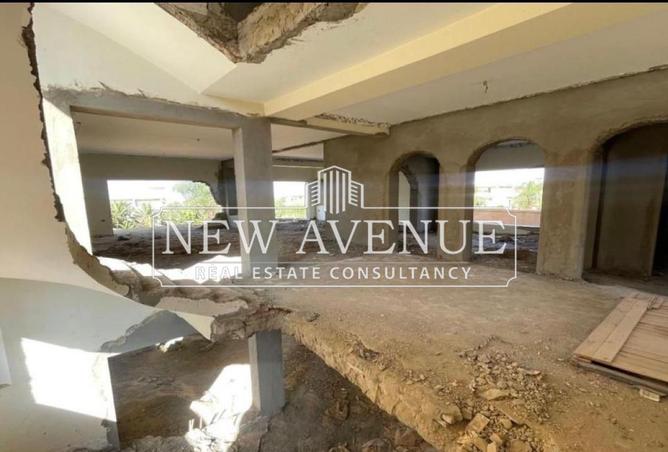 54233446 - Property Image 3