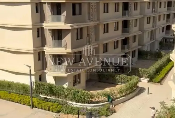 113254703 - Property Image 2