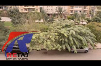 Apartment - 3 Bedrooms - 2 Bathrooms for rent in El Banafseg 1 - El Banafseg - New Cairo City - Cairo