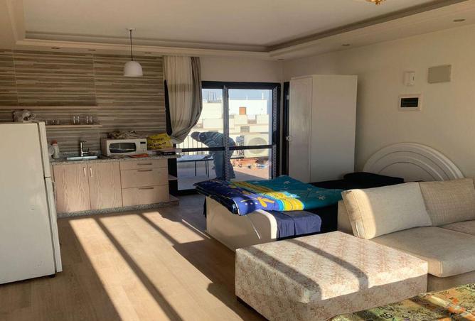 75679974 - Property Image 3