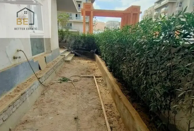 116744511 - Property Image 3
