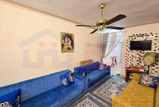 53727505 - Property Image 2