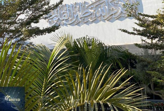 8542874 - صورة العقار 3