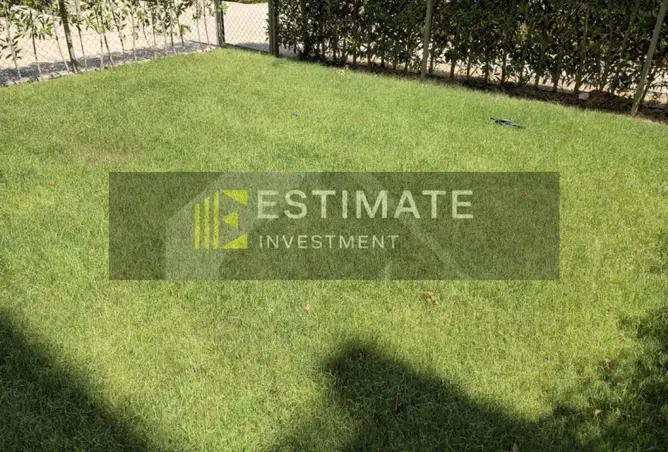 111303842 - Property Image 3