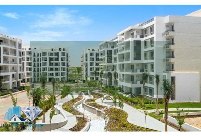 8629147 - Property Image 3