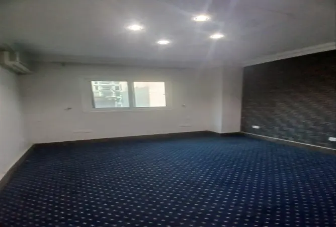 57233784 - صورة العقار 3