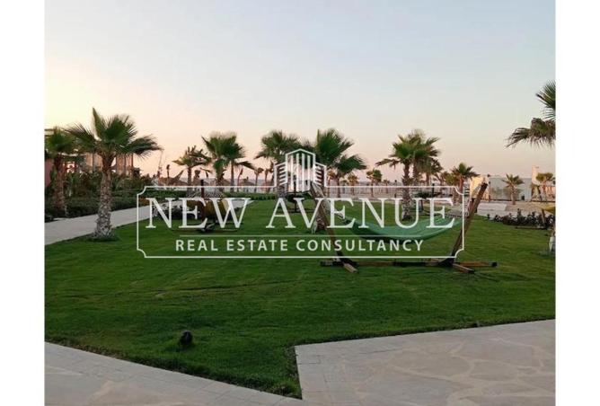 8664136 - صورة العقار 2