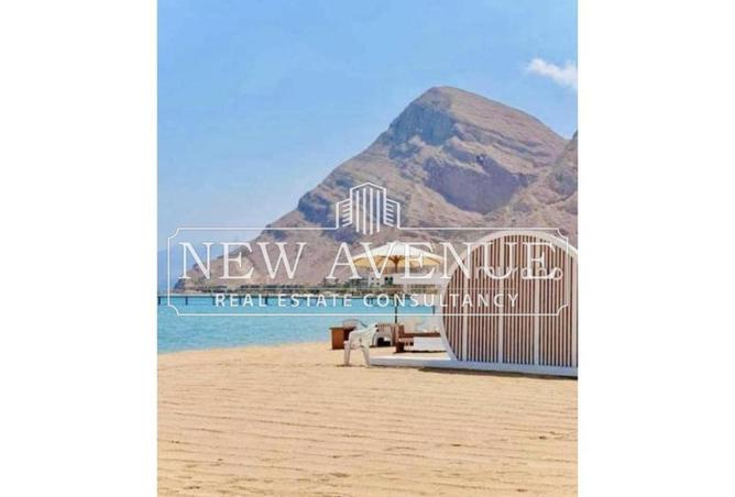 68791118 - صورة العقار 2