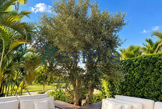112969945 - صورة العقار 2