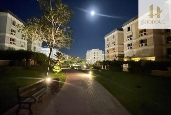 63880495 - Property Image 3