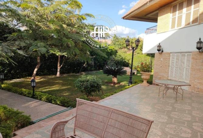 53724861 - صورة العقار 2