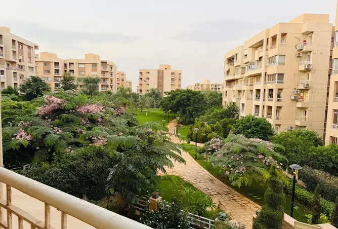 112981668 - Property Image 2