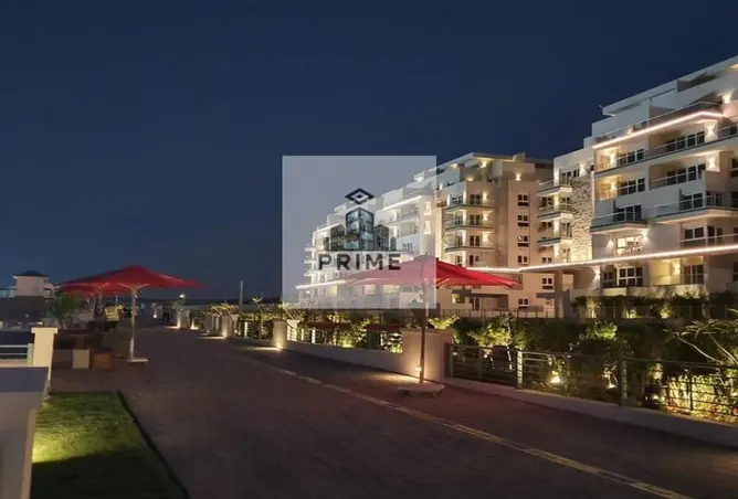 109637866 - Property Image 3
