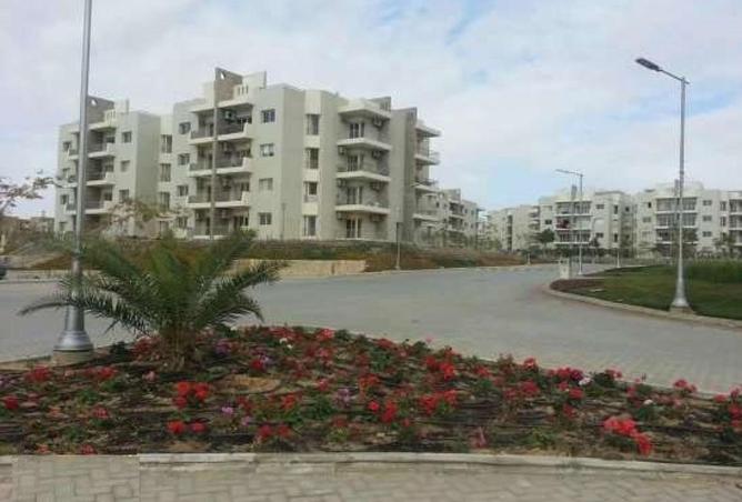 72441434 - Property Image 3
