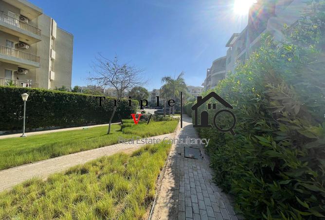 62643274 - Property Image 3