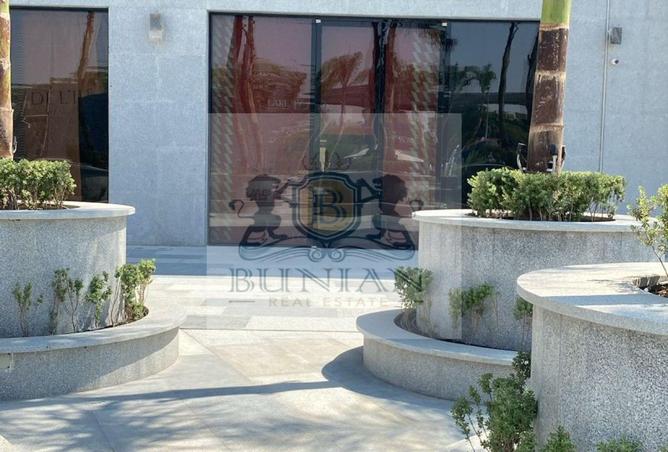 52717113 - صورة العقار 2