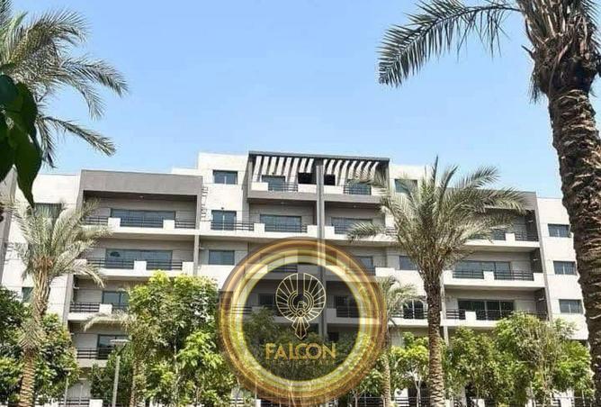 75404278 - صورة العقار 2