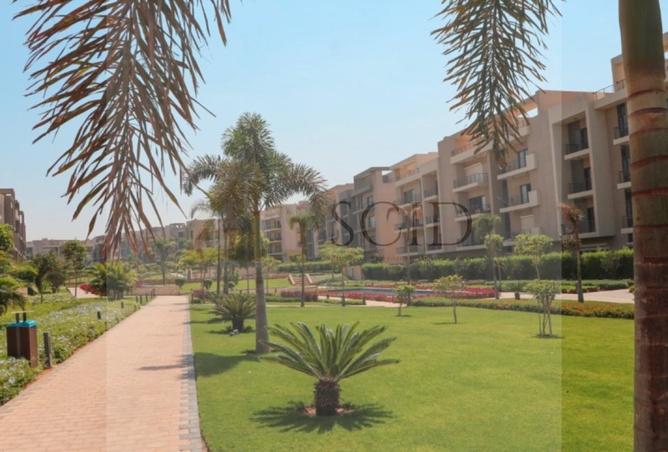 67997252 - Property Image 3