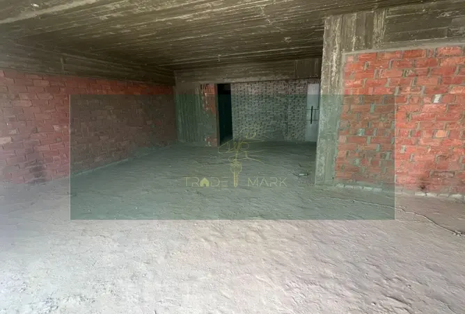 113542696 - صورة العقار 3