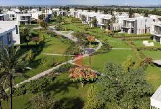 71144140 - Property Image 3