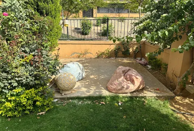 111319518 - صورة العقار 3