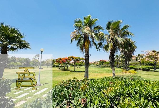 63383242 - صورة العقار 3