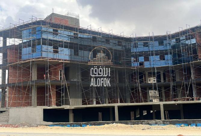 55757500 - صورة العقار 2