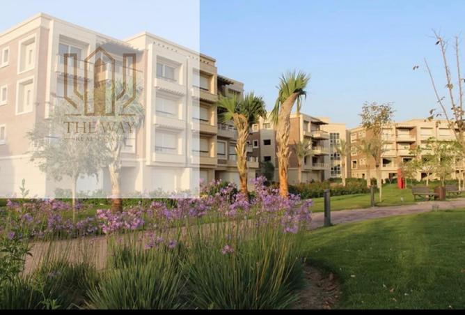 97134581 - Property Image 3