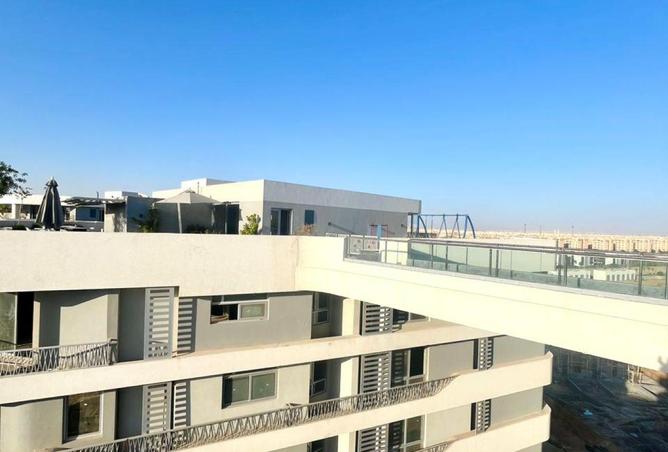 8716192 - Property Image 3