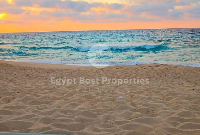 87848406 - Property Image 3