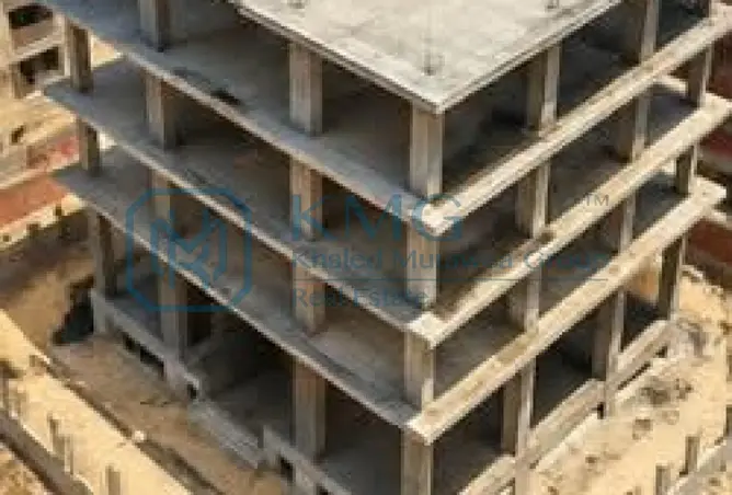 117523291 - Property Image 3