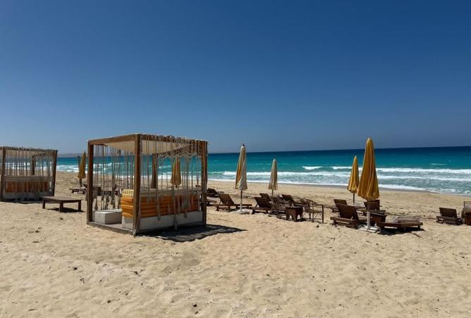 98003721 - صورة العقار 2
