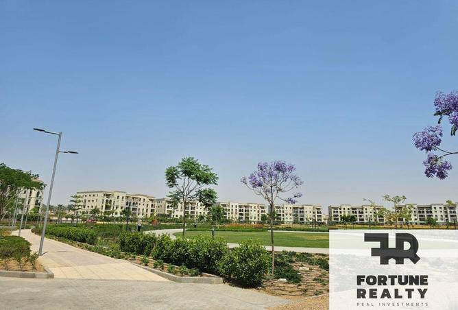 8538554 - Property Image 3