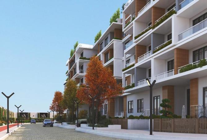 8679403 - Property Image 3