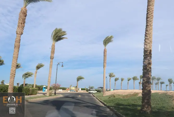 118039691 - صورة العقار 2