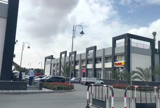 8435309 - صورة العقار 2