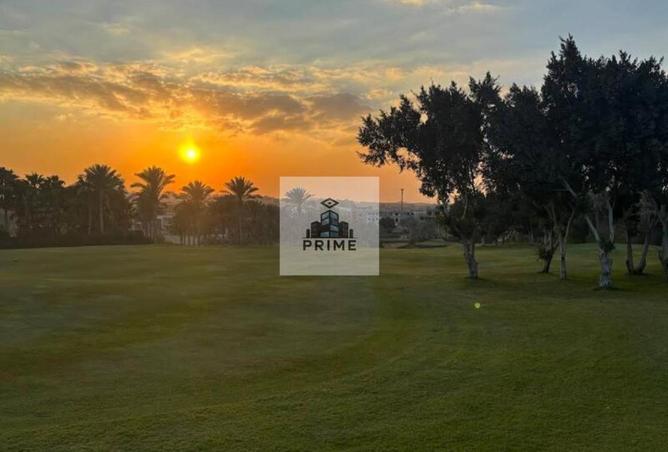 62645808 - Property Image 2