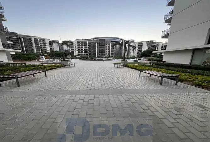 113247595 - Property Image 3