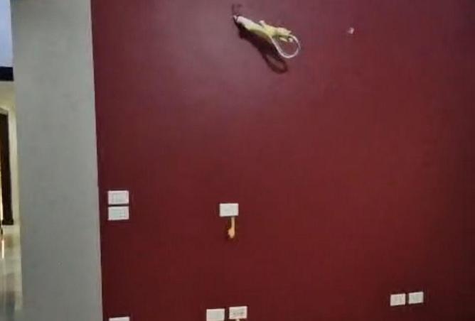 8535063 - Property Image 2