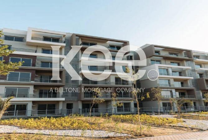 57243871 - Property Image 2