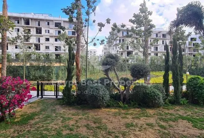 115455084 - صورة العقار 2