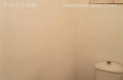 Apartment - 2 Bedrooms - 2 Bathrooms for rent in Downtown - Cairo