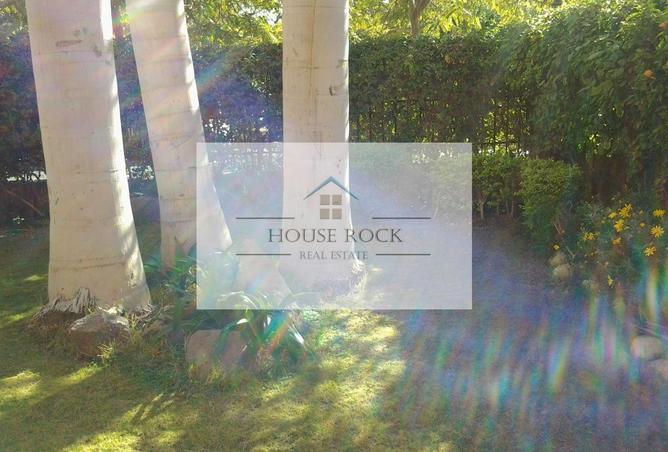 8607209 - Property Image 3